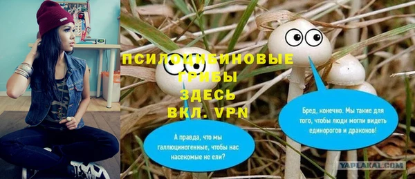 Альфа ПВП Алзамай