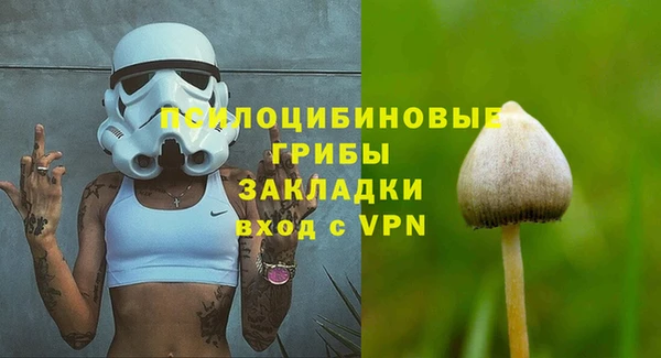 стаф Алексеевка