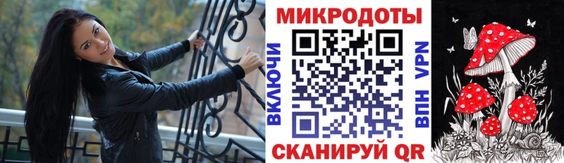 Псилоцибиновые грибы Psilocybe  закладка  Тулун 